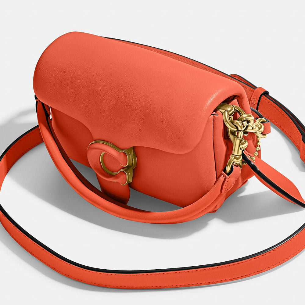 Pillow Bag Tabby 20 - Orange